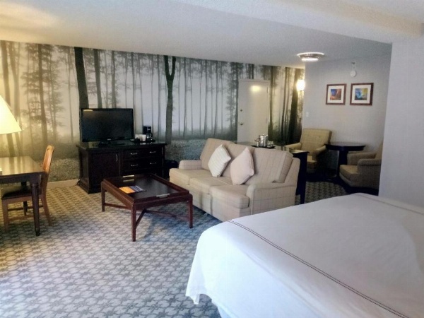 Anaheim Majestic Garden Hotel image 21